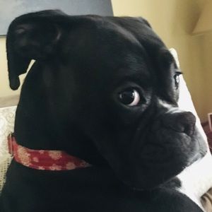 Meet your Posher, Leigh